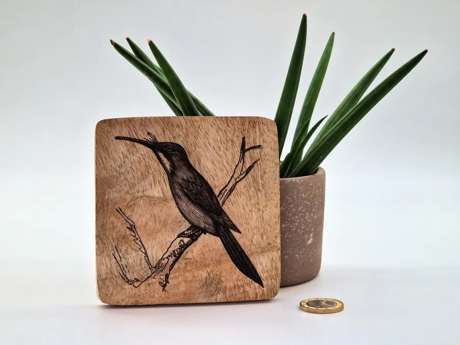 Rotschwanz-Glanzvogel Vogelbild – Auf Mangoholz · 10 × 10 cm