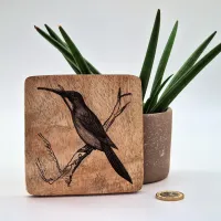 Rotschwanz-Glanzvogel Vogelbild – Auf Mangoholz · 10 × 10 cm