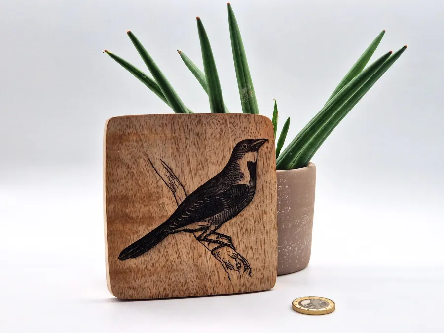 Dickzissel Vogelbild – Auf Mangoholz · 10 × 10 cm