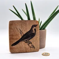 Dickzissel Vogelbild – Auf Mangoholz · 10 × 10 cm