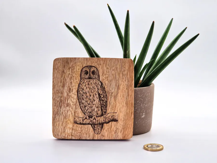 Tawny Owl Wall Art – On mango wood · 10 × 10 cm