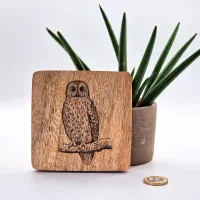 Waldkauz Vogelbild – Auf Mangoholz · 10 × 10 cm
