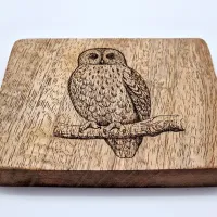 Waldkauz Vogelbild – Auf Mangoholz · 10 × 10 cm