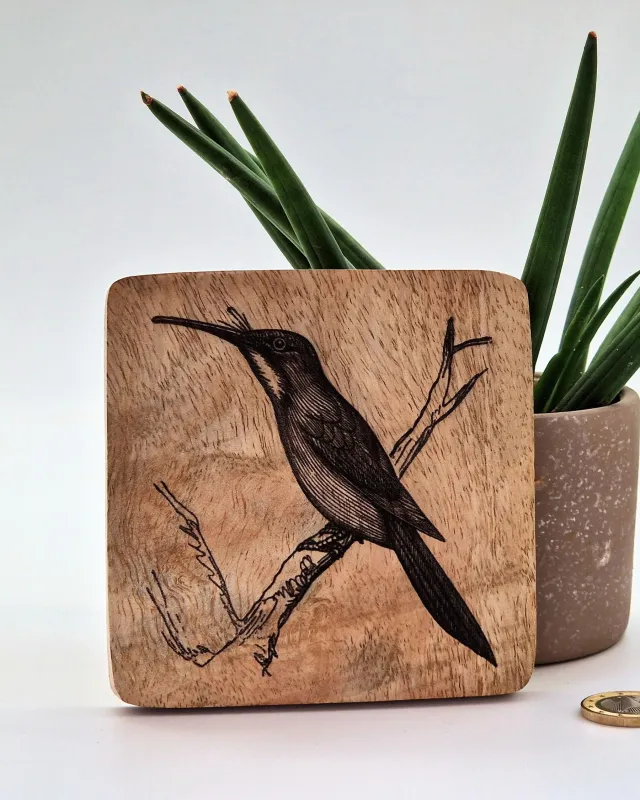 Rotschwanz-Glanzvogel Vogelbild – Auf Mangoholz · 10 × 10 cm