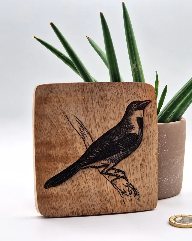 Dickzissel Vogelbild – Auf Mangoholz · 10 × 10 cm