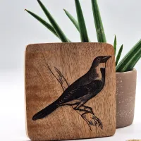 Dickzissel Vogelbild – Auf Mangoholz · 10 × 10 cm