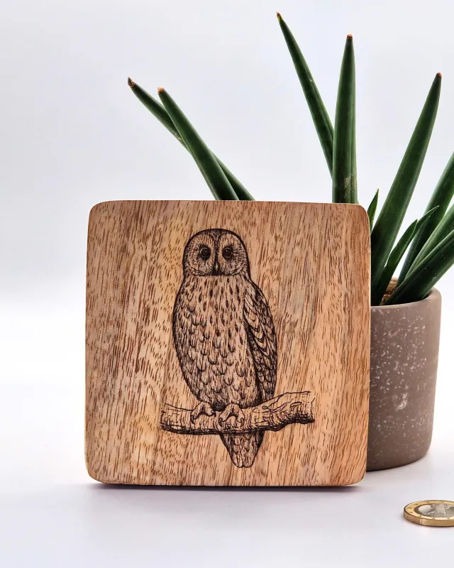 Waldkauz Vogelbild – Auf Mangoholz · 10 × 10 cm