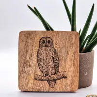 Waldkauz Vogelbild – Auf Mangoholz · 10 × 10 cm