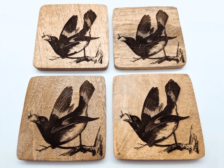 Rotschwanz-Waldsänger Vogelbild – Auf Mangoholz · 10 × 10 cm