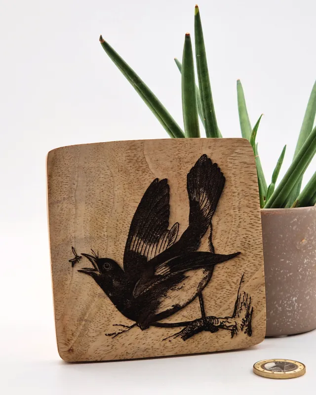American Redstart Wall Art – On mango wood · 10 × 10 cm