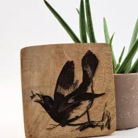 Rotschwanz-Waldsänger Vogelbild – Auf Mangoholz · 10 × 10 cm
