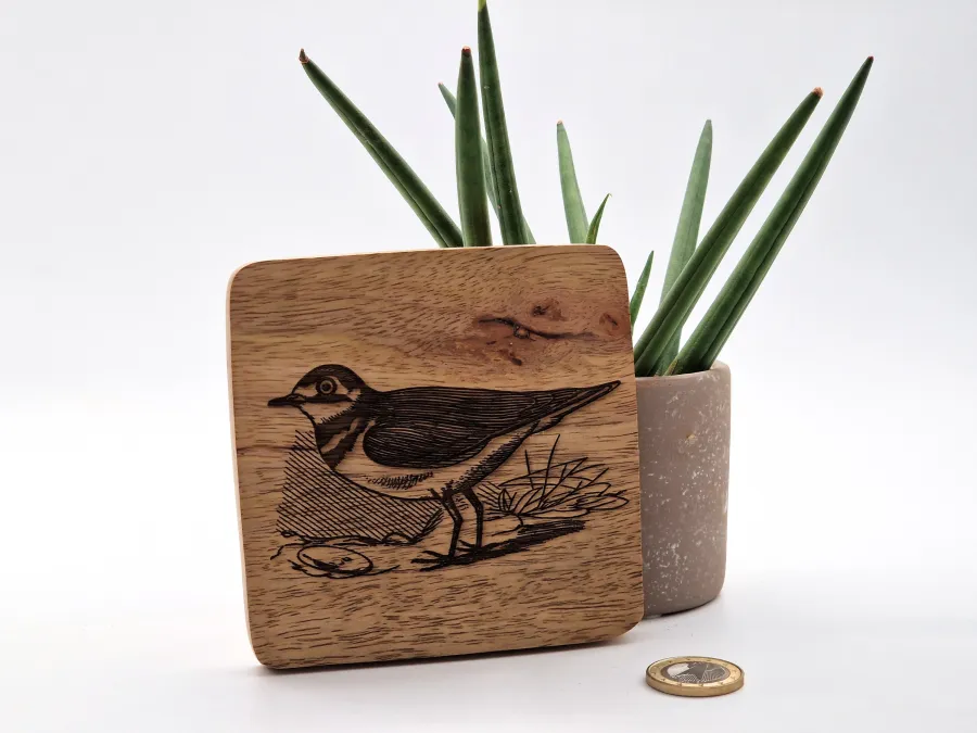 Plover Wall Art – On mango wood · 10 × 10 cm