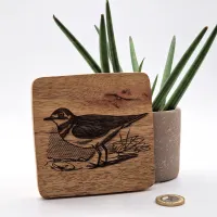 Plover Wall Art – On mango wood · 10 × 10 cm