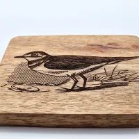 Plover Wall Art – On mango wood · 10 × 10 cm
