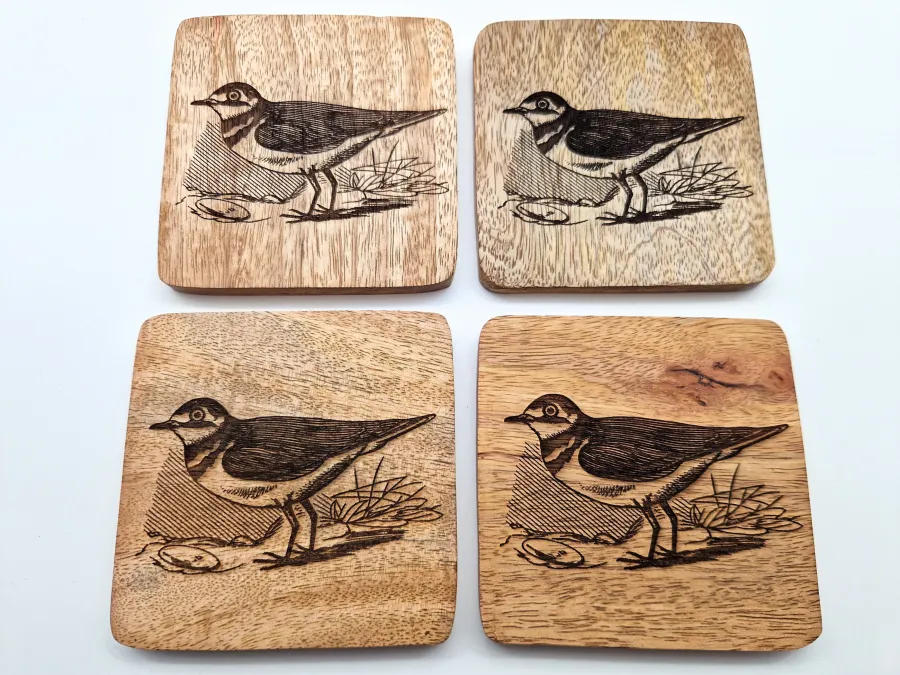Plover Wall Art – On mango wood · 10 × 10 cm