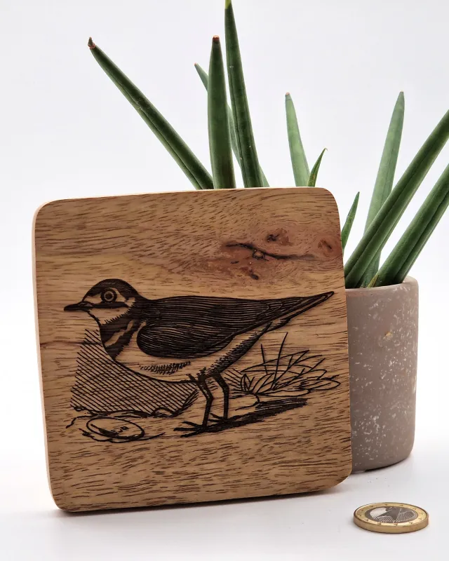 Plover Wall Art – On mango wood · 10 × 10 cm