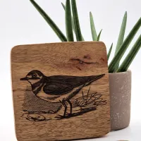 Regenpfeifer Vogelbild – Auf Mangoholz · 10 × 10 cm