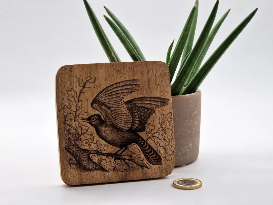 Blauhäher Vogelbild – Auf Mangoholz · 10 × 10 cm