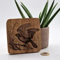 Blauhäher Vogelbild – Auf Mangoholz · 10 × 10 cm