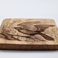 Blauhäher Vogelbild – Auf Mangoholz · 10 × 10 cm