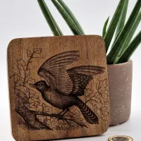 Blauhäher Vogelbild – Auf Mangoholz · 10 × 10 cm
